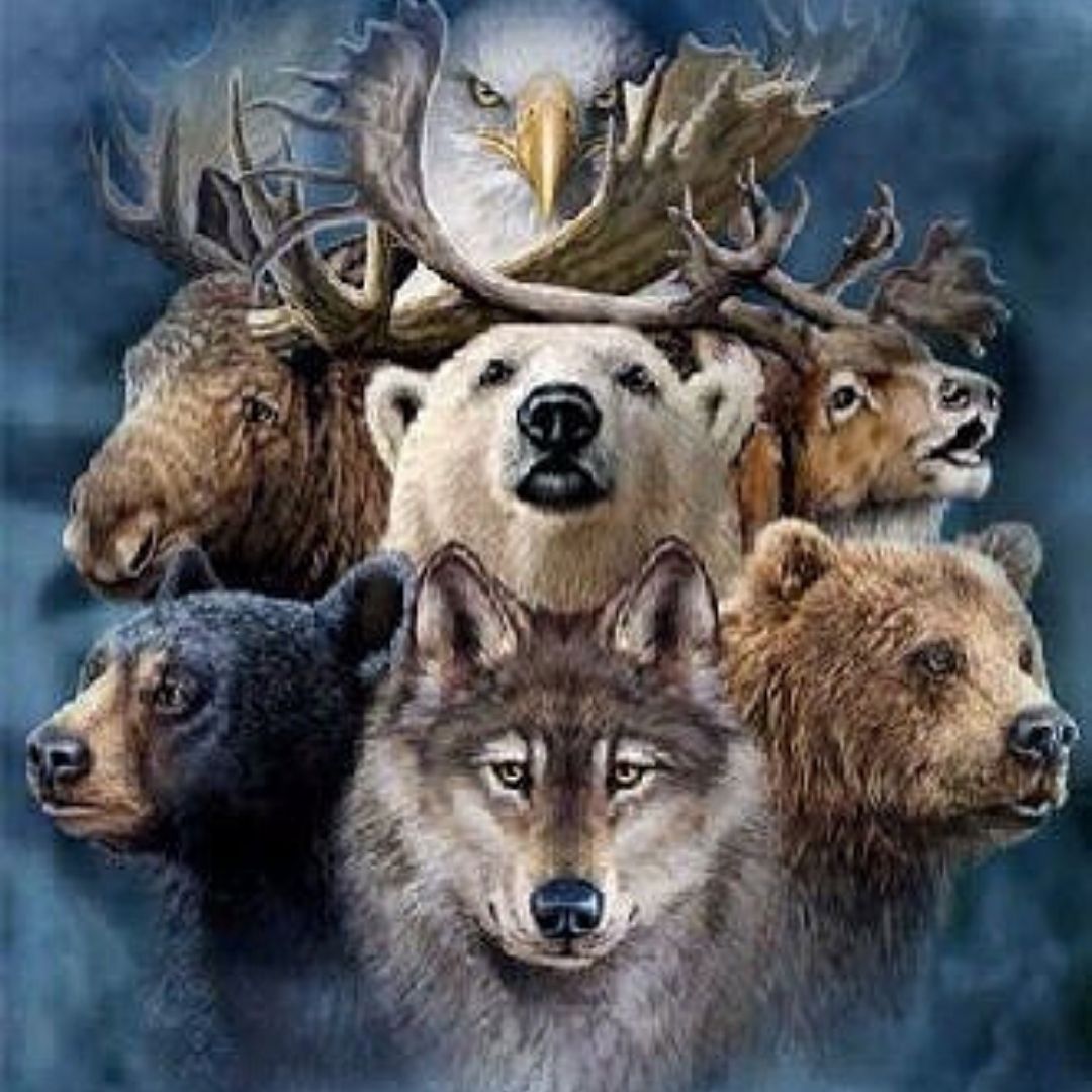 Animal totem : signification et comment trouver le sien