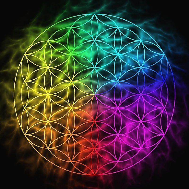 Fleur de Vie : Symbole, Vertus & Signification Secrète