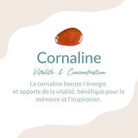 Bracelet en Cornaline -  - L'Arbre des Chakras