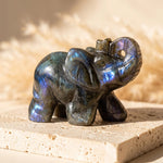 Éléphant "Gardien Protecteur" en Labradorite