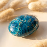 Galet en Apatite Bleue – Symbole d'Harmonie - - L'Arbre des Chakras
