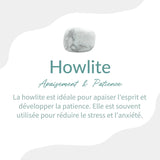 Bracelet "Amincissement" en Apatite & Howlite -  - L'Arbre des Chakras