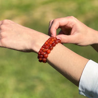 Bracelet en Cornaline -  - L'Arbre des Chakras