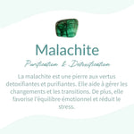Bracelet "Purification" en Malachite Véritable -  - L'Arbre des Chakras