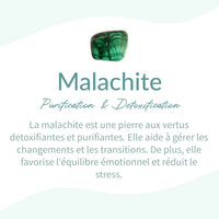 Bracelet "Purification" en Malachite Véritable -  - L'Arbre des Chakras