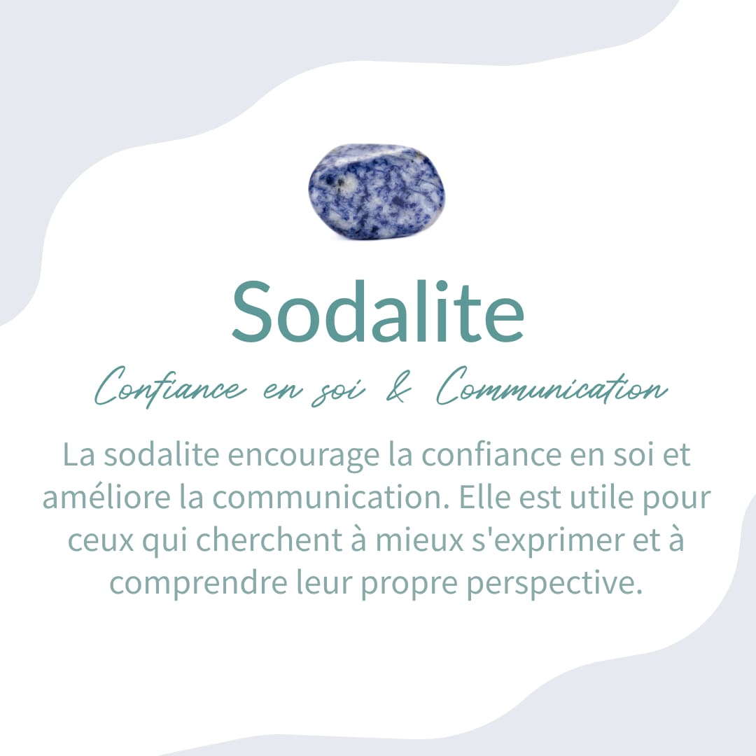 Orgonite Œil Protecteur en Sodalite, Oeil de Tigre & Obsidienne - - L'Arbre des Chakras