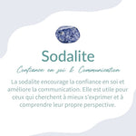 Orgonite Œil Protecteur en Sodalite, Oeil de Tigre & Obsidienne - - L'Arbre des Chakras