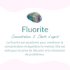 Galet "Concentration et Clarté" en Fluorite Arc en Ciel - - L'Arbre des Chakras