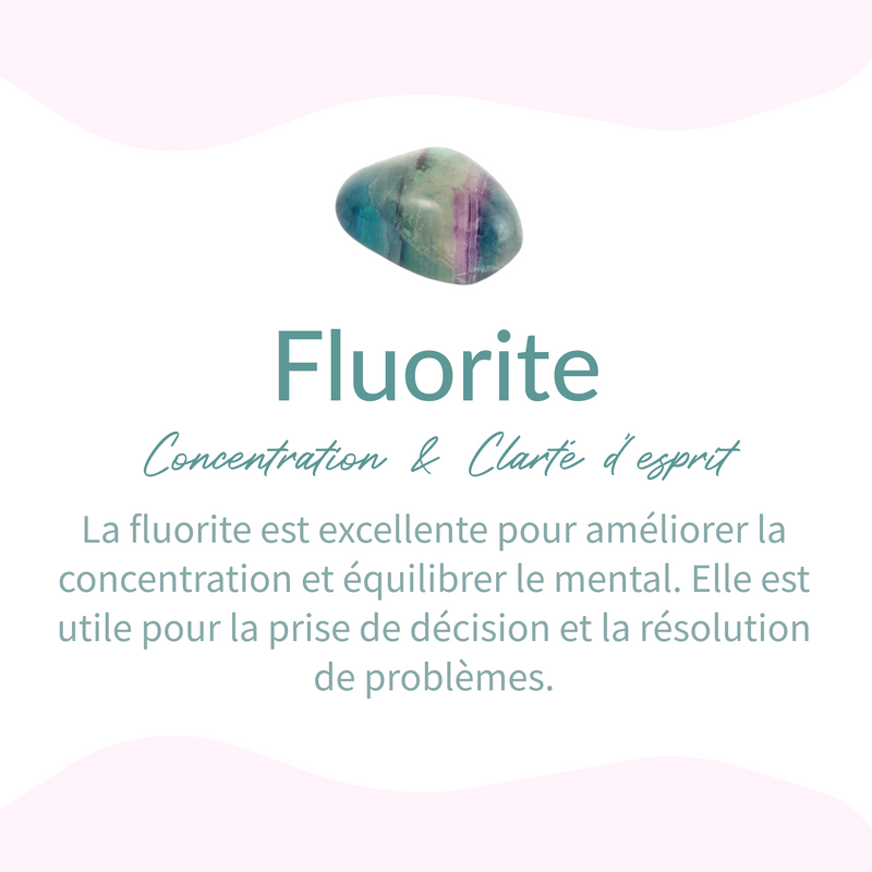 Galet "Concentration et Clarté" en Fluorite Arc en Ciel - - L'Arbre des Chakras