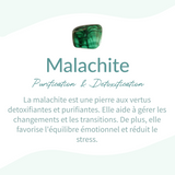 Pendentif "Guérison" en Malachite - - L'Arbre des Chakras