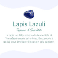 Orgonite "Kâli" en Lapis Lazuli, Améthyste & Malachite -  - L'Arbre des Chakras