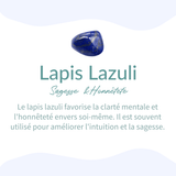 Pendentif Orgonite Oeil d'Horus en Pierres Naturelles -  - L'Arbre des Chakras
